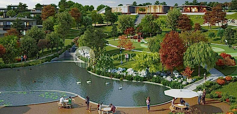 Mesa Yeşil Yaka Koru-Genel-3